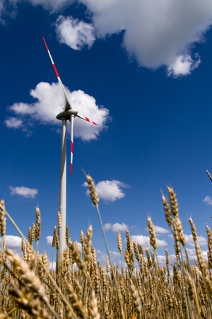 Working wind turbineagainst the blue sky, and wheatの写真素材