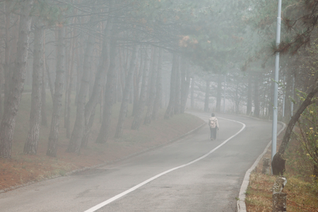 man walking on road in misty forestの写真素材