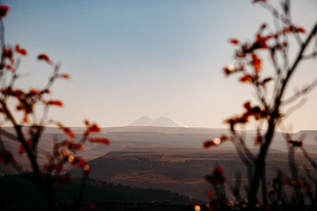 View of Mount Elbrus through the silhouette of a tree at sunsetの写真素材