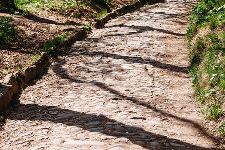 path in summer forest