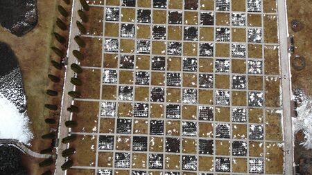Top down abstract garden view, Aerial landscape of public garden.