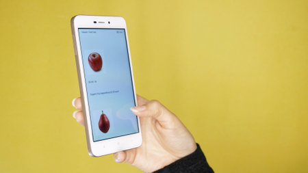 Ordering online with your smartphone, ordering in online shop of food. Isolated.