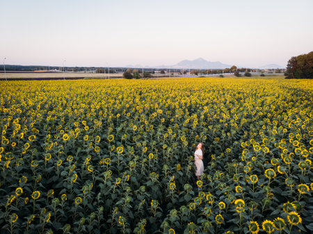 Aerial view of woman stands on large sunflower field under beautiful sunset light against mountains.の写真素材