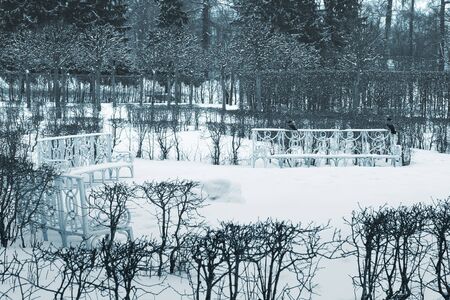 The benches in Ekaterina's garden (Pushkin, near Saint-Petersburg, Russia).の写真素材