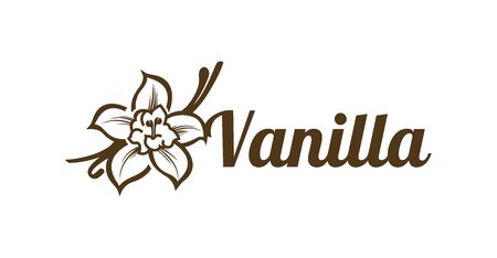 Vector design template logo and emblem vanilla. Food icon. Logos in linear style isolated on a white background. Illustration Vector.のイラスト素材