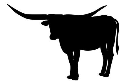 Texas Longhorn bull, cattle icon, on white background. Vector illustrations.のイラスト素材