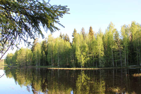 Spring day, the sun is shining, forest lakeの写真素材