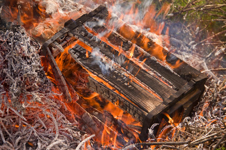 open fireの写真素材