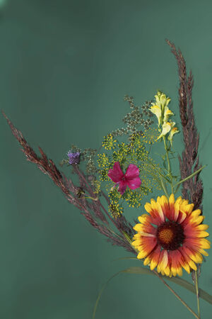 Arrangement of flowers on the water 1の写真素材
