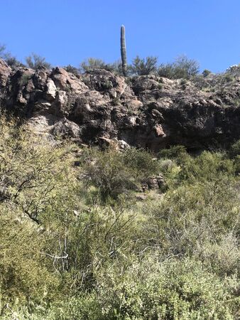 The Scottsdale, Arizona Desert Landscapeの写真素材