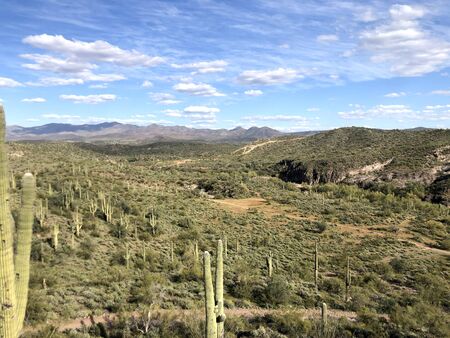 The Scottsdale, Arizona Desert Landscape