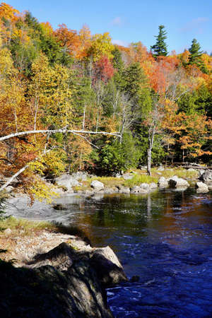 Peaceful autumn fall stroll to enjoy the colorful leavesの写真素材