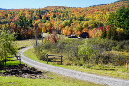 Peaceful autumn fall stroll to enjoy the colorful leavesの写真素材