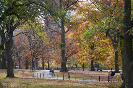 Beautiful fall afternoon in the park during a walkのeditorial素材