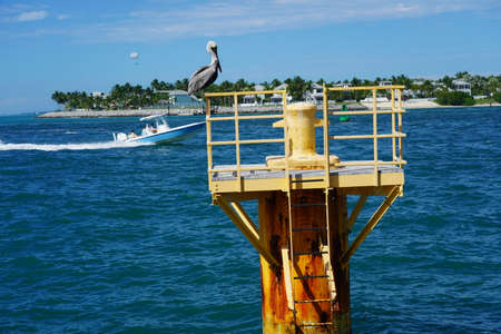 Key West Florida - Sights and Sounds by the water and portのeditorial素材