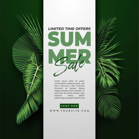 Summer Sale Banner With Tropical Leaves Background. Vector Illustrationのイラスト素材