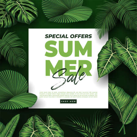 Summer Sale Banner With Tropical Leaves Background. Vector Illustrationのイラスト素材