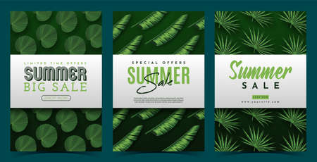 Summer Sale Banner With Tropical Leaves Background. Vector Illustrationのイラスト素材