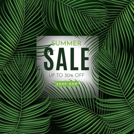 Summer Sale Banner With Tropical Leaves Background. Vector Illustrationのイラスト素材