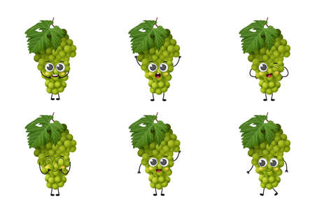 Set of cute cartoon white grape fruit vector character set isolated on white backgroundのイラスト素材