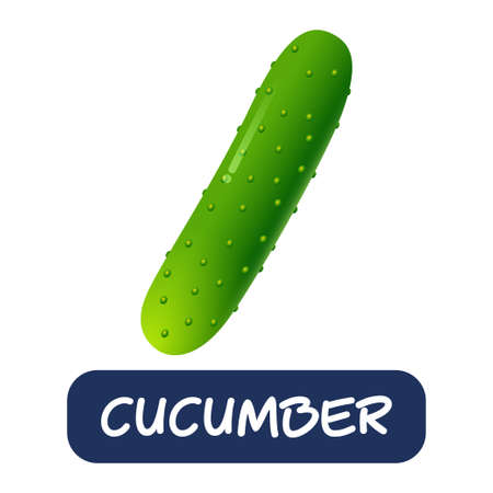 cartoon cucumber vegetables vector isolated on white backgroundのイラスト素材