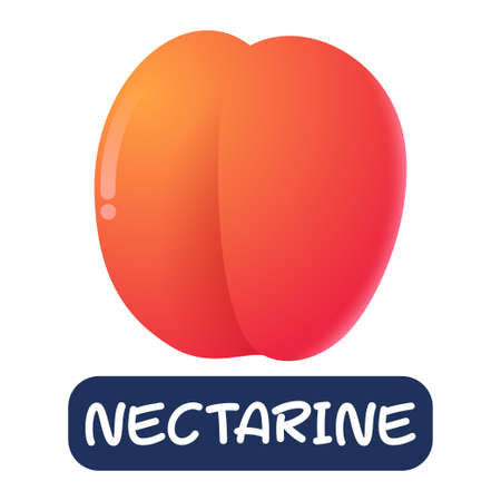 cartoon nectarine fruit vector isolated on white backgroundのイラスト素材
