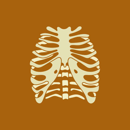 Human chest isolated vector illustration in vintage style. Ribs and spine icon.のイラスト素材