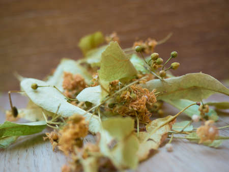 Dried linden blossom on a wooden background.の写真素材