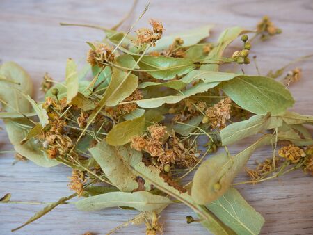 Dried linden blossom on a wooden background.の写真素材