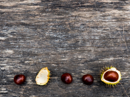 Group of chestnuts on a wooden background.の写真素材
