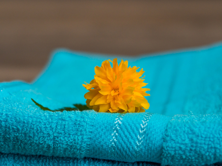 Beautiful yellow bloosom of Kerria japonica one a blue towel の写真素材