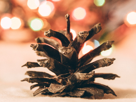 Close up of pine cone and colorful Christmas lights in backgroundの写真素材