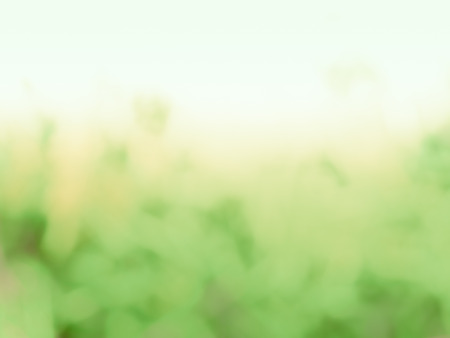 Green and white colorful abstract background with copy spaceの写真素材