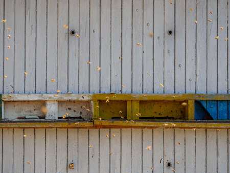 Colorful wooden beehives and flying honey bees