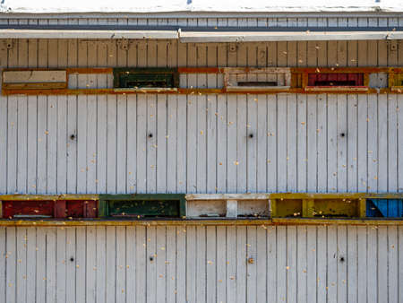 Colorful wooden beehives and flying honey beesの写真素材