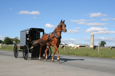 An Amish carriage in Lancaster County,Pennsylvania.
