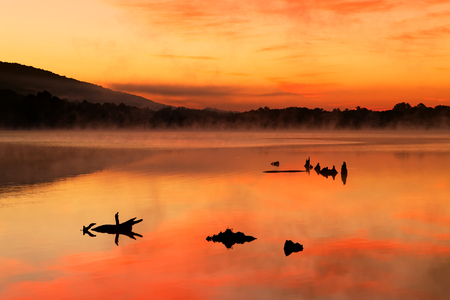 A misty sunrise at Locust Lake State Park, Schuylkill County, Pennsylvania, USA.の写真素材