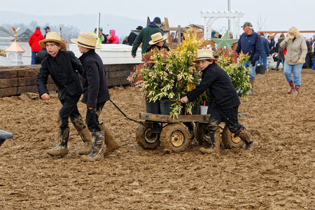 PENRYN PENNSYLVANIA - MARCH 18, 2017: A rainy muddy day at the annual "Amish Mud Sale" to benefit Penryn Fire Co.#1 and Limerock Parochial School. Sale items include quilts, tools, food, crafts, farm machinery and antiques.のeditorial素材
