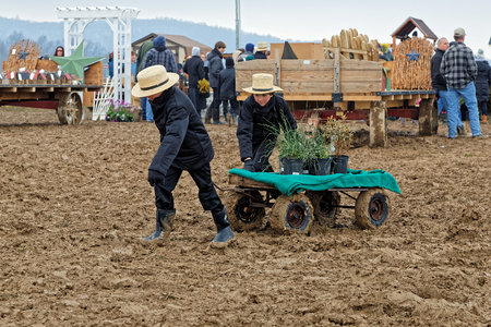 PENRYN PENNSYLVANIA - MARCH 18, 2017: Amish boys haul potted plants on a rainy muddy day at the annual Amish Mud Sale. This auction benefits Penryn Fire Co.#1 and Limerock Parochial School.のeditorial素材
