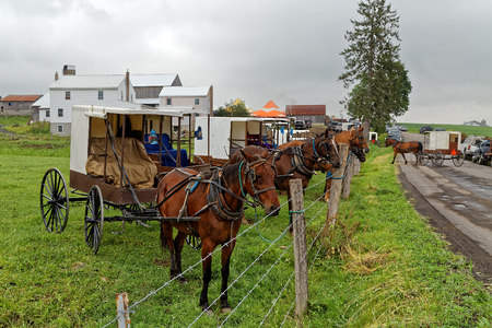 Horses tied to a pasture fence at an annual Amish benefit auction in Mifflin County, Pennsylvania. Sale items include quilts, tools, food, farm machinery and antiques.の写真素材