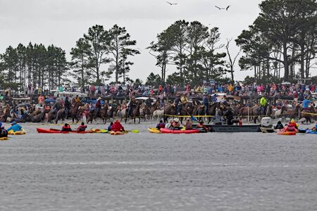 CHINCOTEAGUE, VIRGINIA - JULY 25, 2018: Wild ponies swim to Chincoteague Island from Assateague Island. This is an annual event to raise money for the  Volunteer Fire Company.のeditorial素材