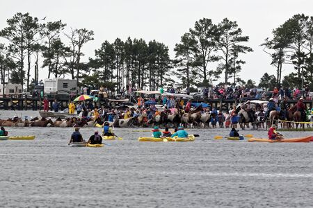 CHINCOTEAGUE, VIRGINIA - JULY 25, 2018: Wild ponies swim to Chincoteague Island from Assateague Island. This is an annual event to raise money for the  Volunteer Fire Company.のeditorial素材