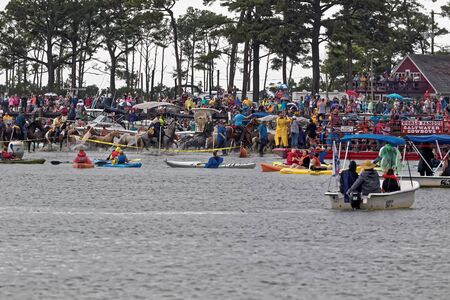 CHINCOTEAGUE, VIRGINIA - JULY 25, 2018: Wild ponies swim to Chincoteague Island from Assateague Island. This is an annual event to raise money for the  Volunteer Fire Company.のeditorial素材