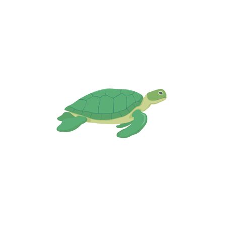 Sea turtle isolated vector illustration colorfulのイラスト素材