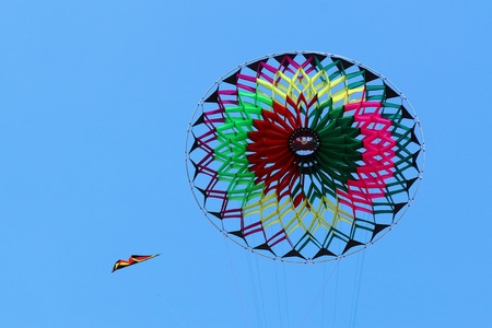 Kites are been on blue skyの写真素材