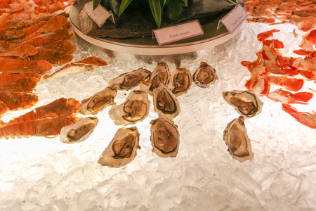 silhouette fresh oysters on ice tankの写真素材