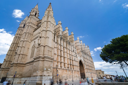 The gothic Cathedral La Seu at Palma de Mallorca islands, Spainの写真素材