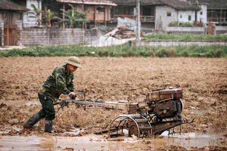 A farmer working in the rice fields of Vietnam.のeditorial素材
