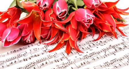 beautiful red tulips with music sheet pageの写真素材