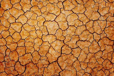 Dry cracked earth background.